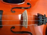 All stings in violin bridge